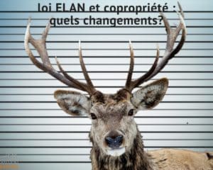 Lire la suite à propos de l’article Loi ELAN et copropriété : quels changements?