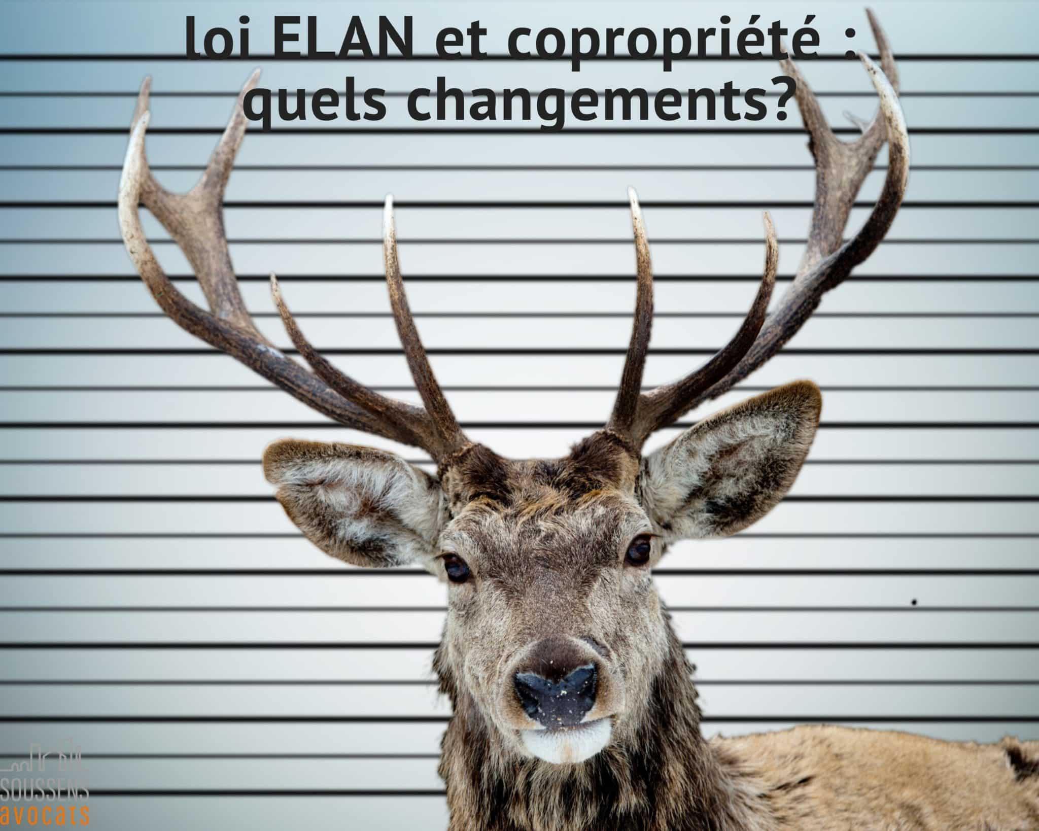 You are currently viewing Loi ELAN et copropriété : quels changements?