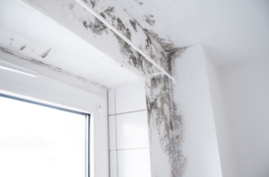 Lire la suite à propos de l’article Le propriétaire doit indemniser ses locataires si le logement présente des risques pour leur santé