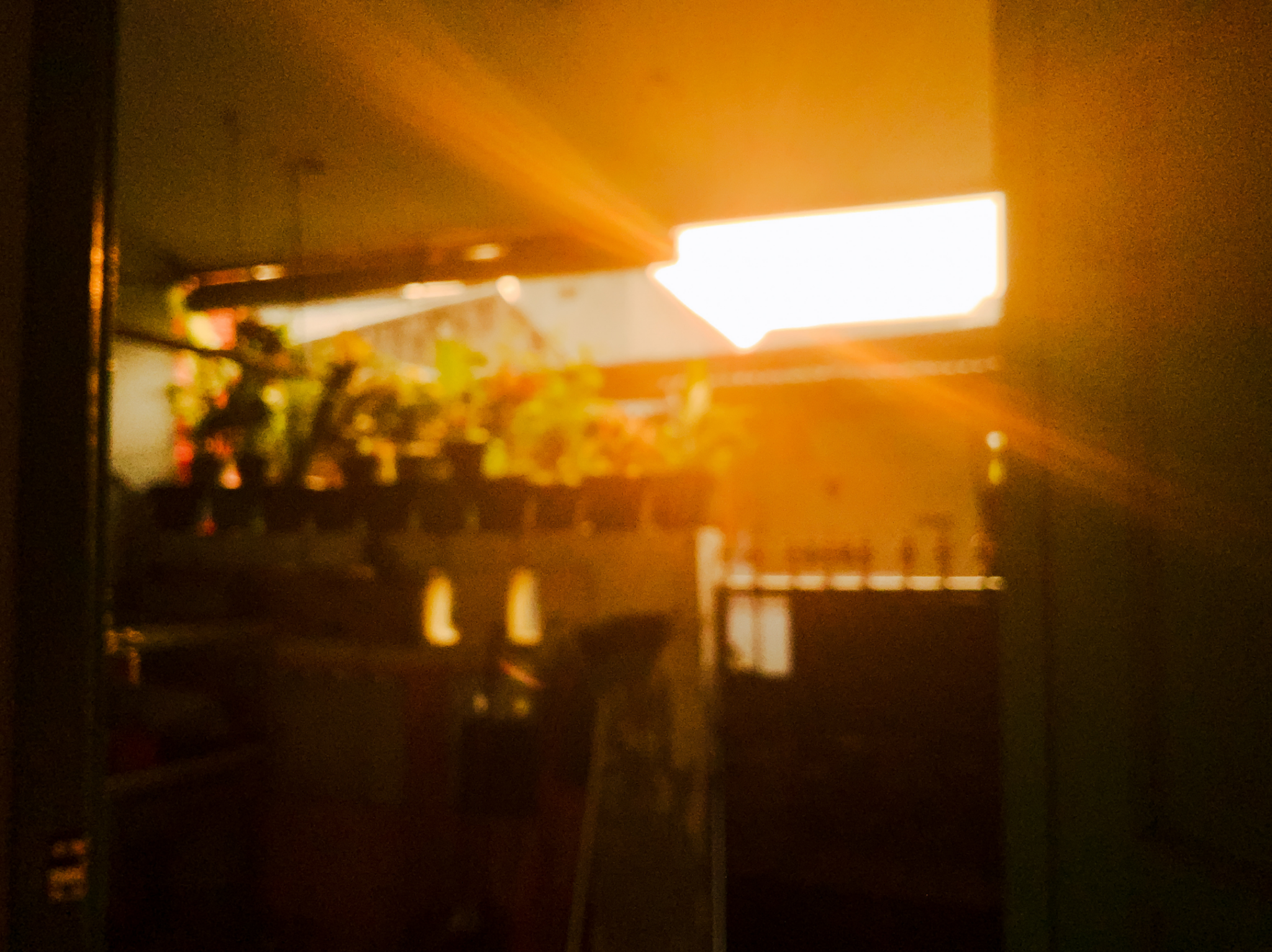 You are currently viewing Logement loué et canicule : quelles sont les obligations du propriétaire ?